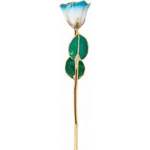 24K Gold dip Cream Turquoise Rose
