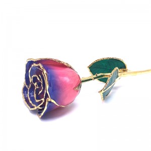 24K Gold Dipped Purple & Pink Rose