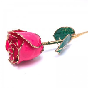 24K Gold Dipped Magenta Rose