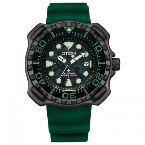Citizen Promaster Watch