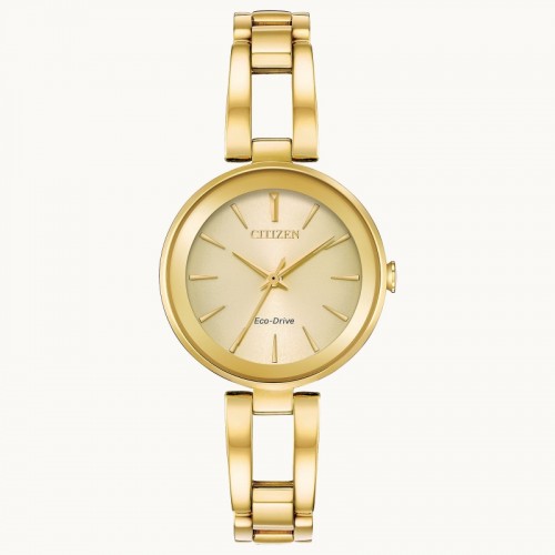 Citizen Axiom