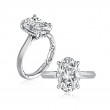 A.Jaffe Engagement Ring Mounting