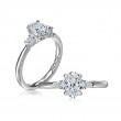 A.Jaffe Engagement Ring Mounting