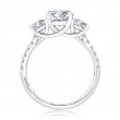 A.Jaffe Engagement Ring Mounting