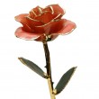 24K Forever Rose