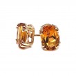 Citrine Earrings
