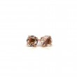 Morganite Round Stud Earrings