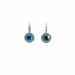 Halo Leaver Back Earrings