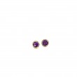 Amethyst Halo Stud Earrings