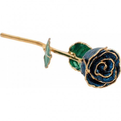 24k Gold Dipped Rose