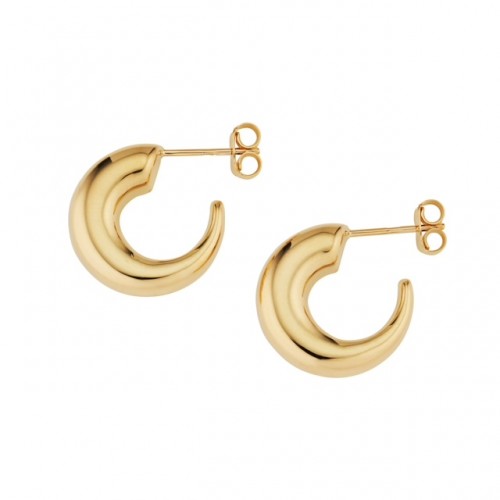 Hoop Graduated  Earrings
