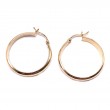 Polished Gold Hoop Earrings