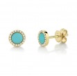 Comp. Turquoise and Diamond Earrings