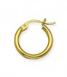 Poilshed Hoop Earrings in Yellow Gold