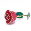 24K Gold Dipped Ruby Rose