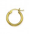 Poilshed Hoop Earrings in Yellow Gold