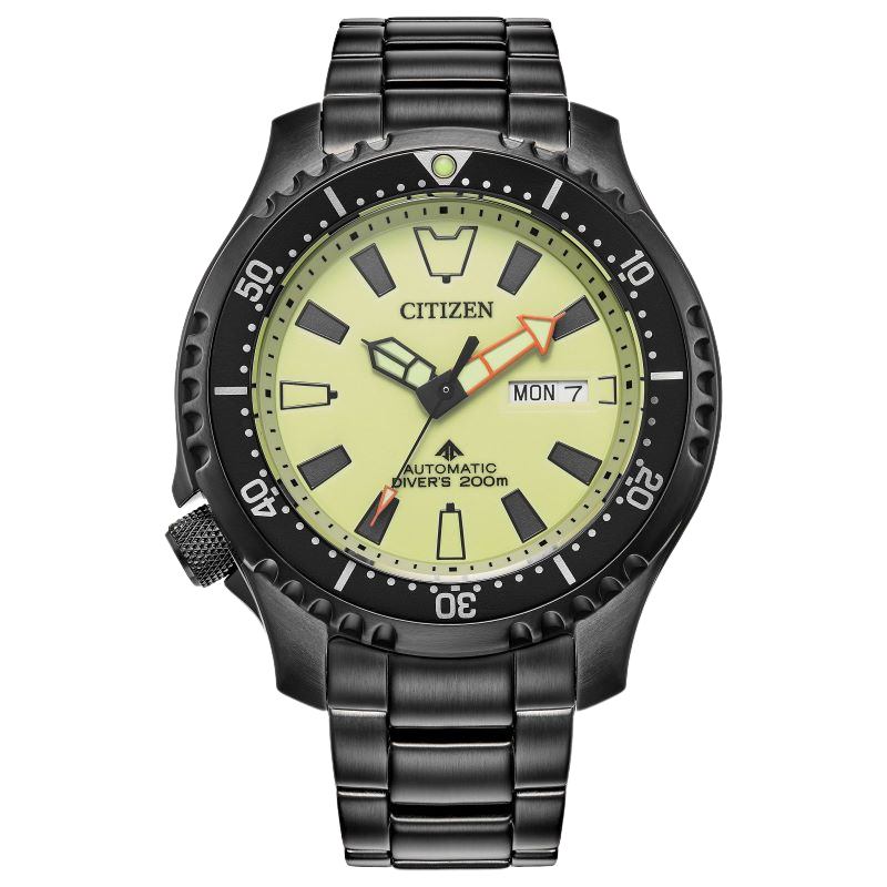 Citizen Promaster Automatic