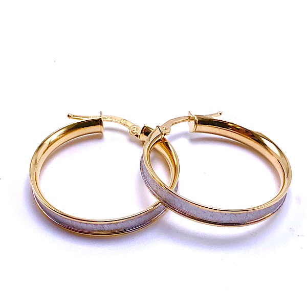 Gold Hoop Earrings