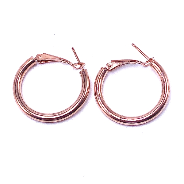 Gold Hoop Earrings