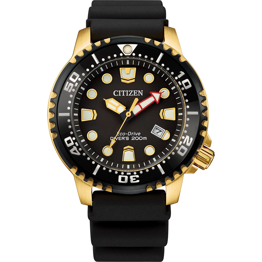 Citizen Promaster Dive