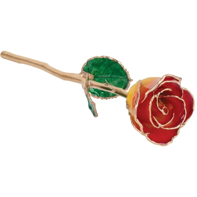 24k Gold Dipped Rose