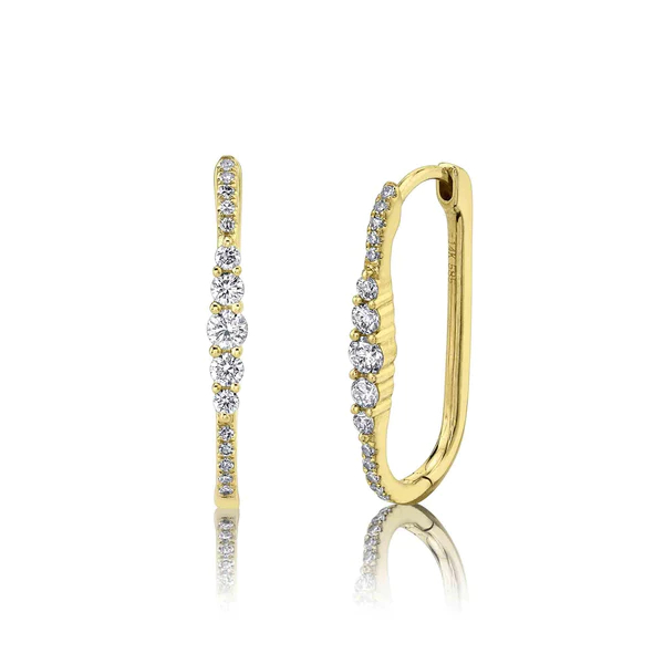 Diamond Hoop Earrings