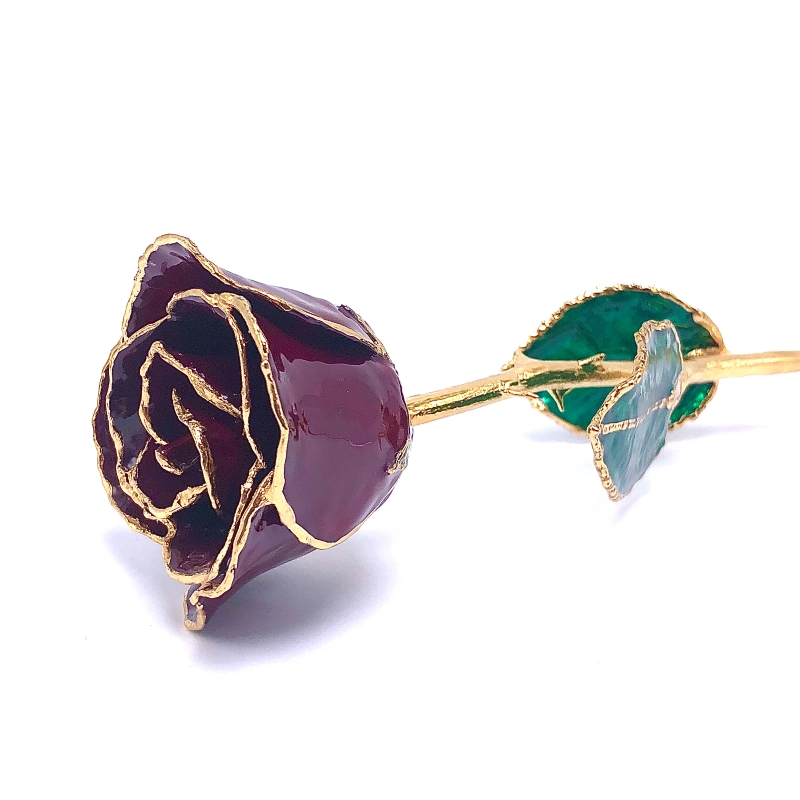 24K Gold Dipped Burgandy Rose