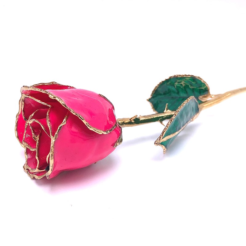24K Gold Dipped Magenta Rose