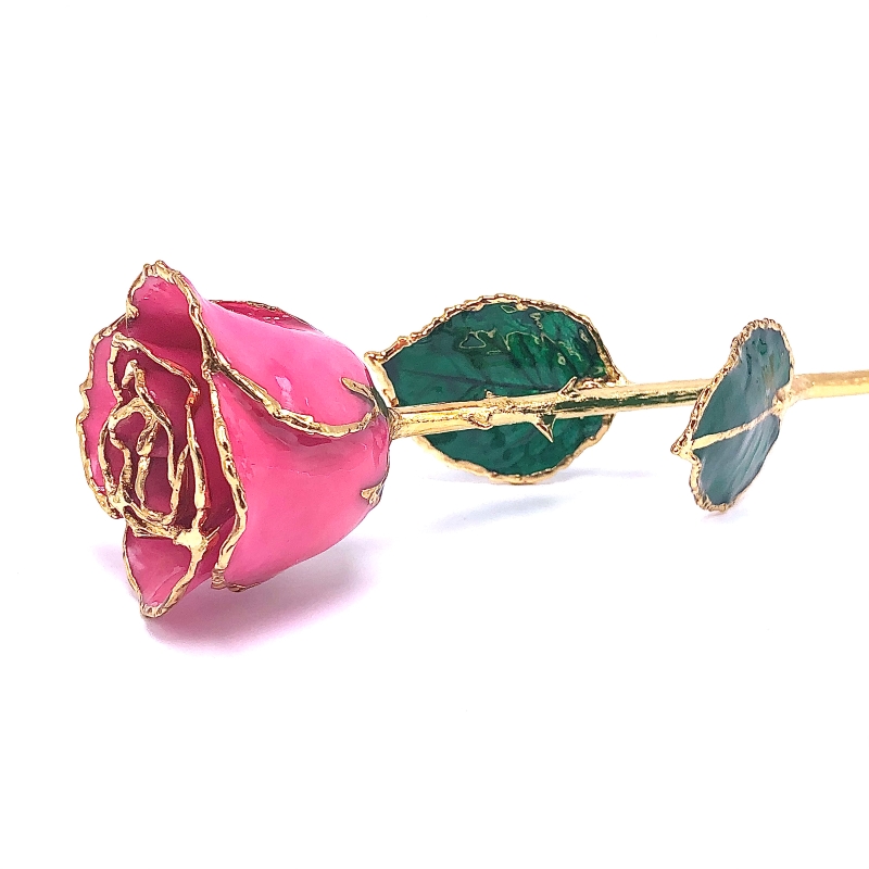 24K Gold Dipped Pink Rose