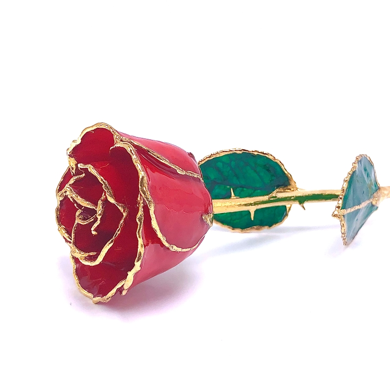 24K Gold Dipped Ruby Rose
